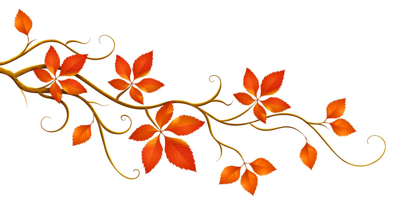 Autumn leaves fall clipart transparent