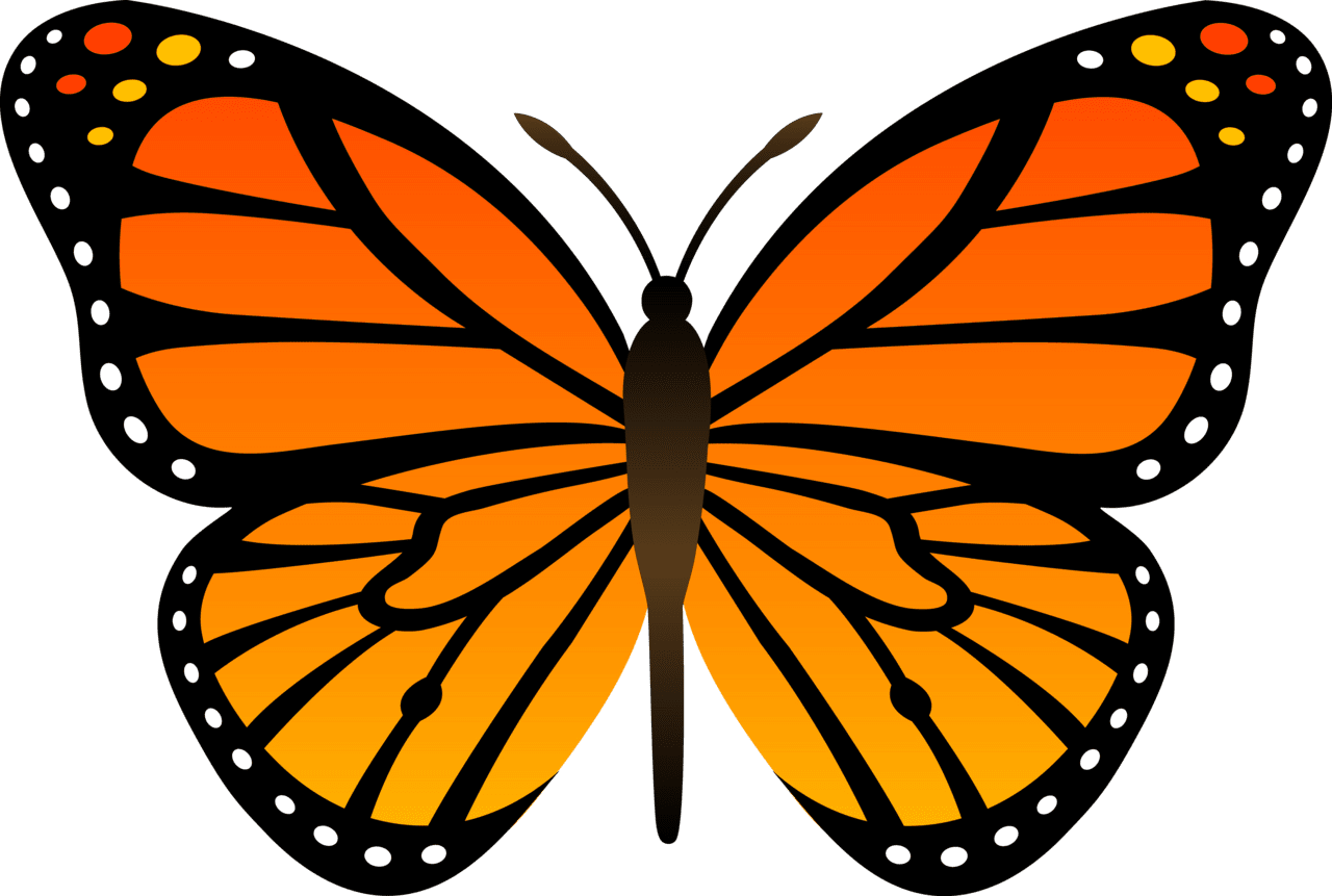 Butterflies cute clipart and color pages logo