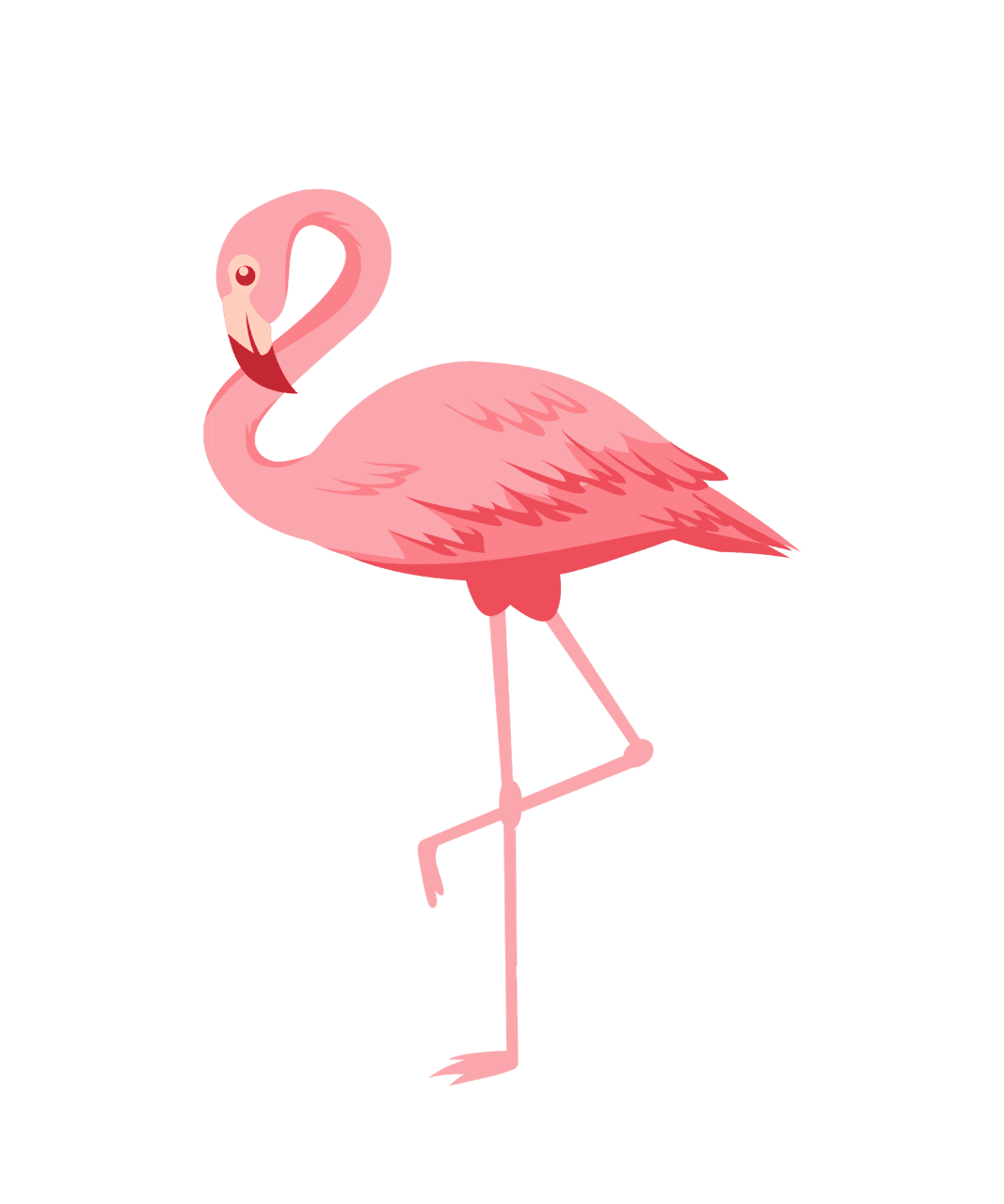 Flamingo vector clipart