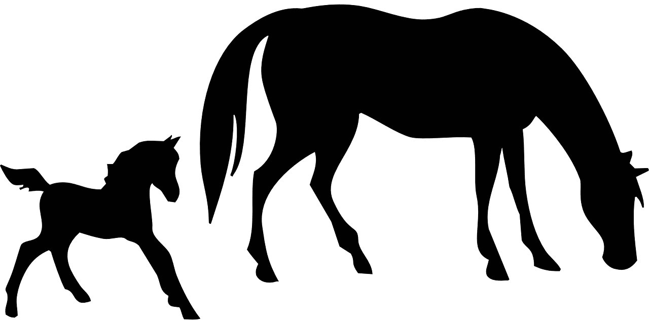 Animals horse mare vector graphic clipart