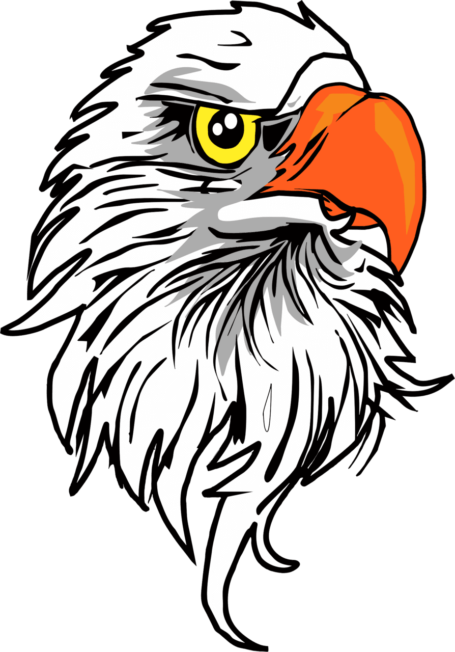 Cool eagle vector draw gs art clipart