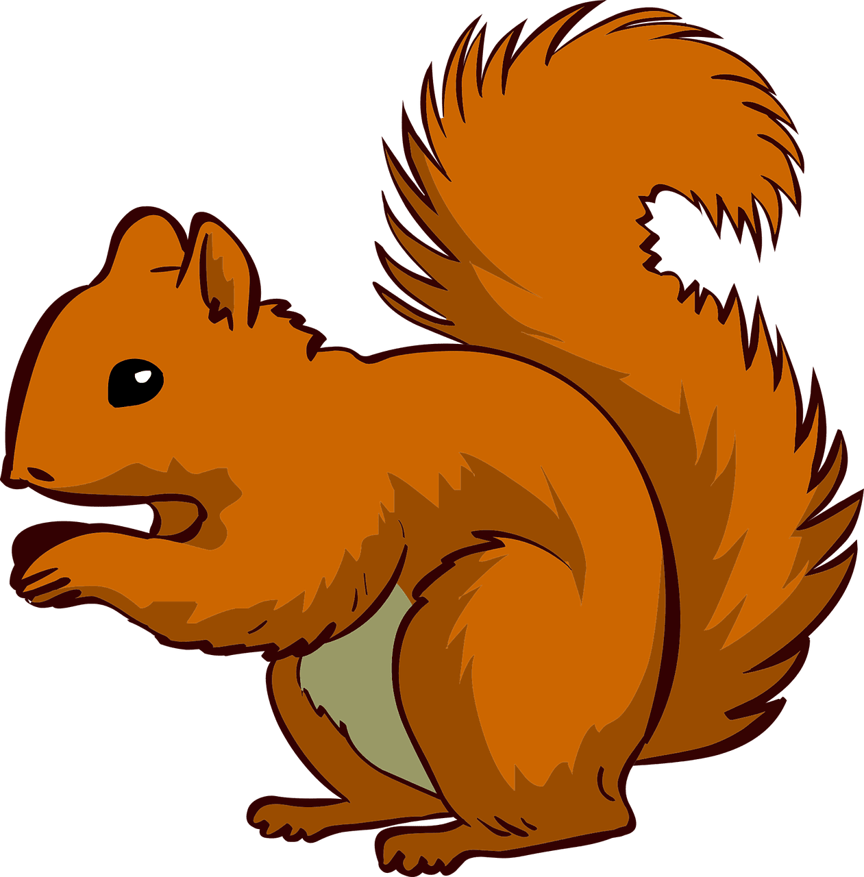 Squirrel nature animal vector graphic clipart