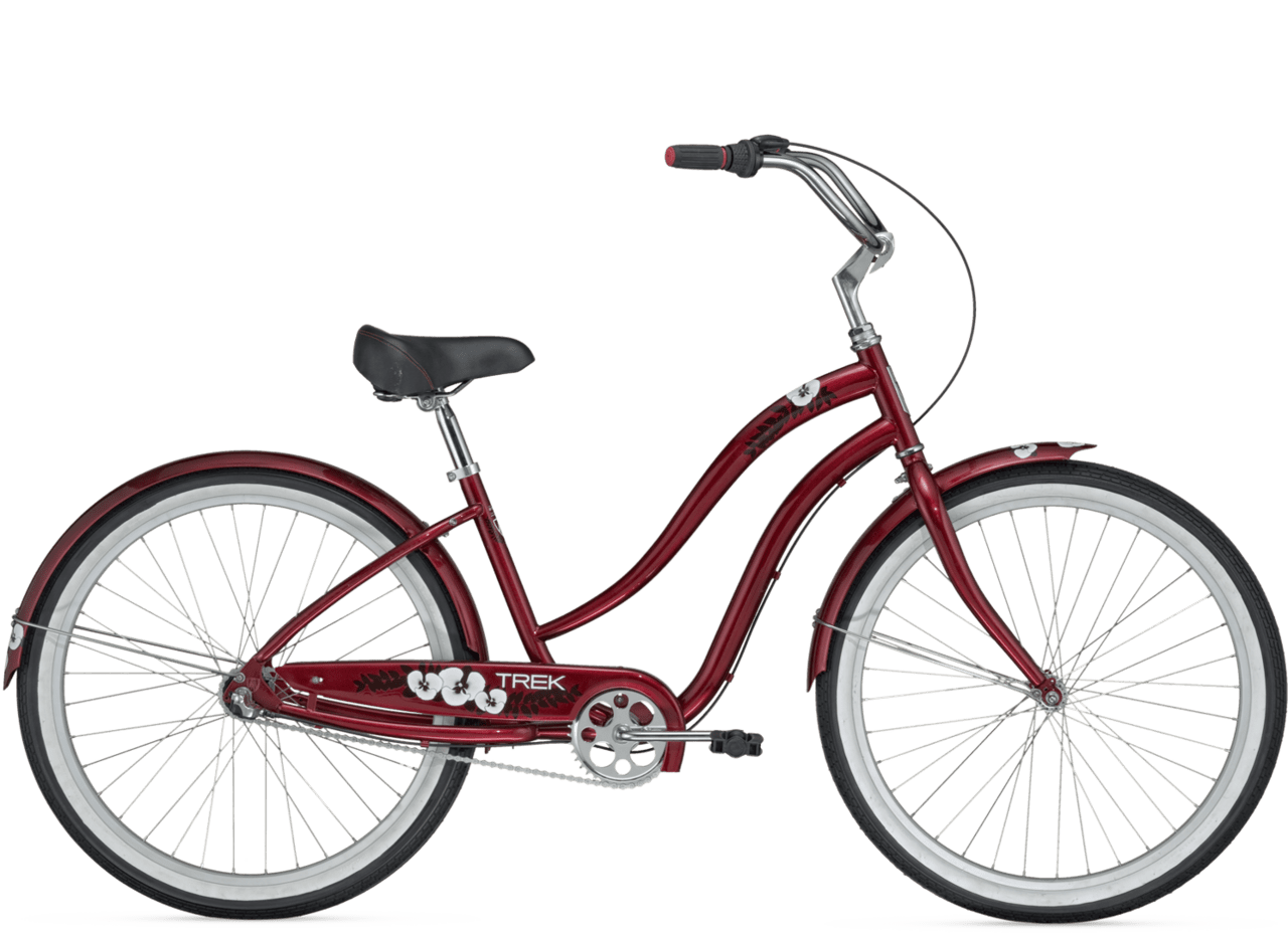 Classic steel speed women want trek bike bicycle clipart vector