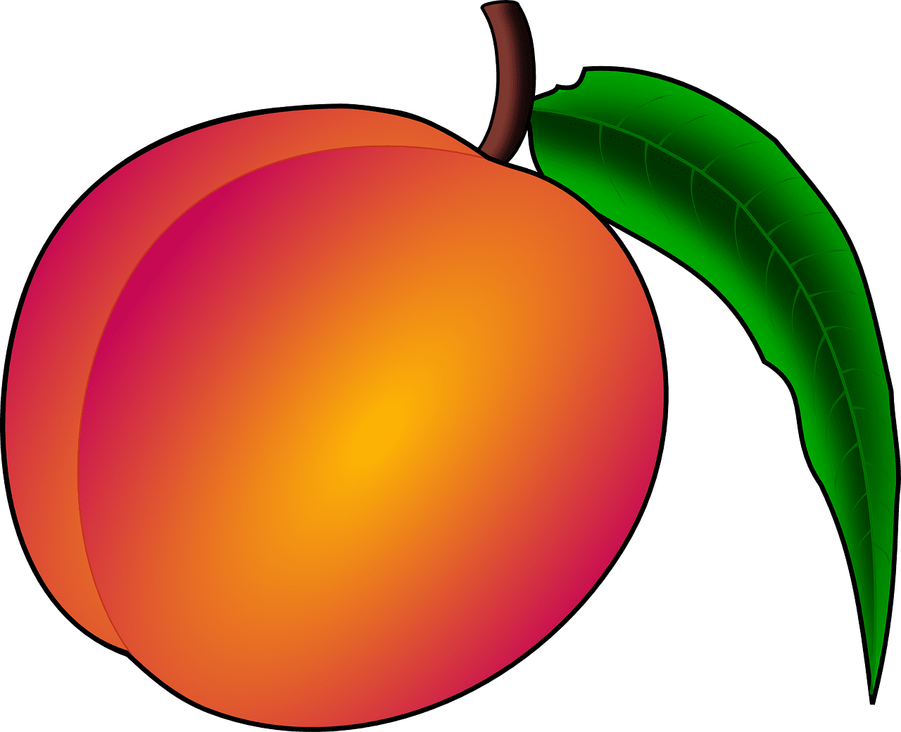 Peach fruit nectarine vector graphic clipart