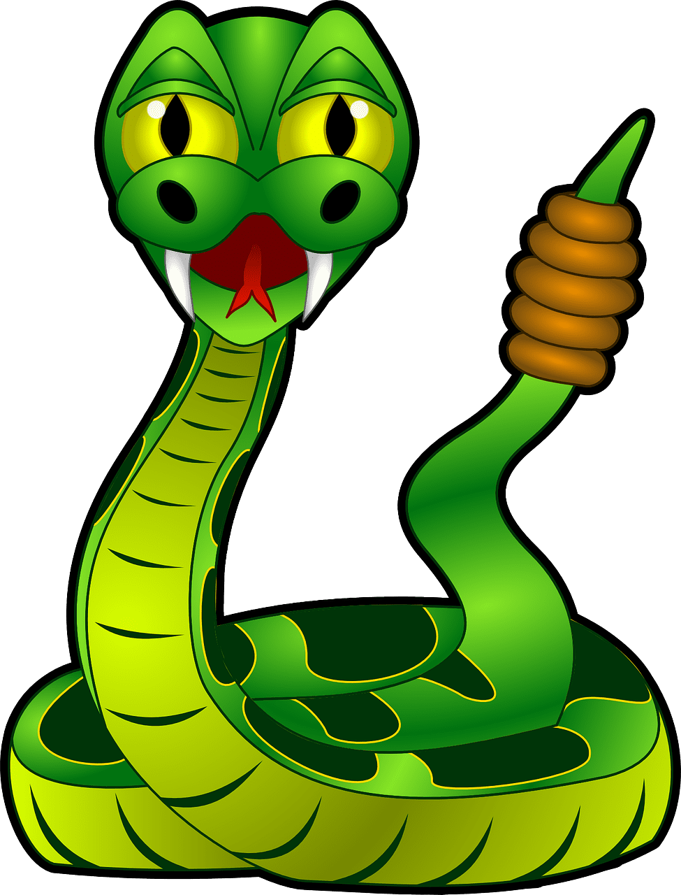 Rattle snake animal vector graphic clipart