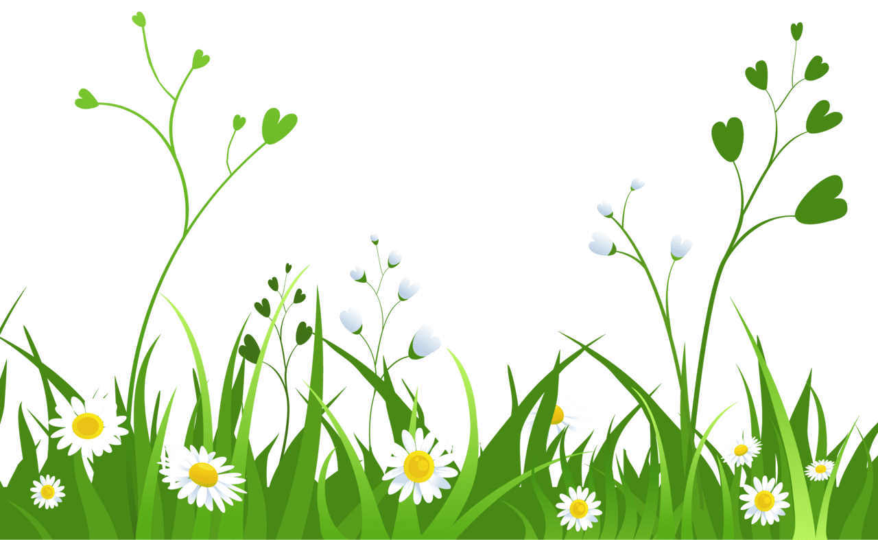 Daisy clipart nature trees tree with grass image cliparting