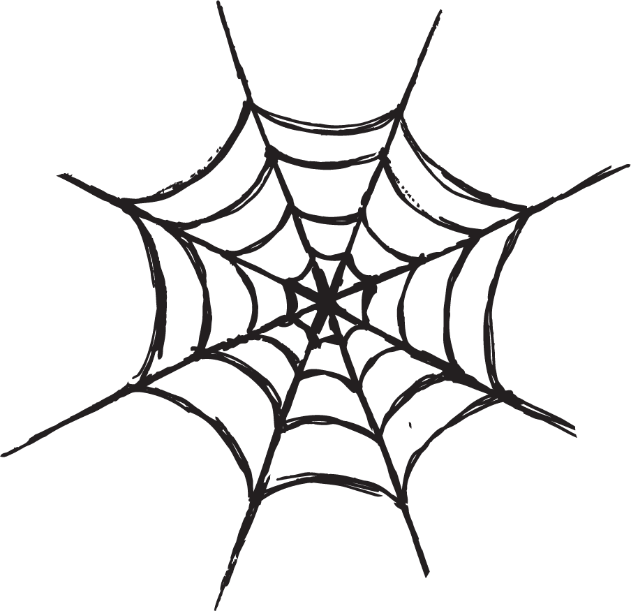 Spider halloween clipart photo