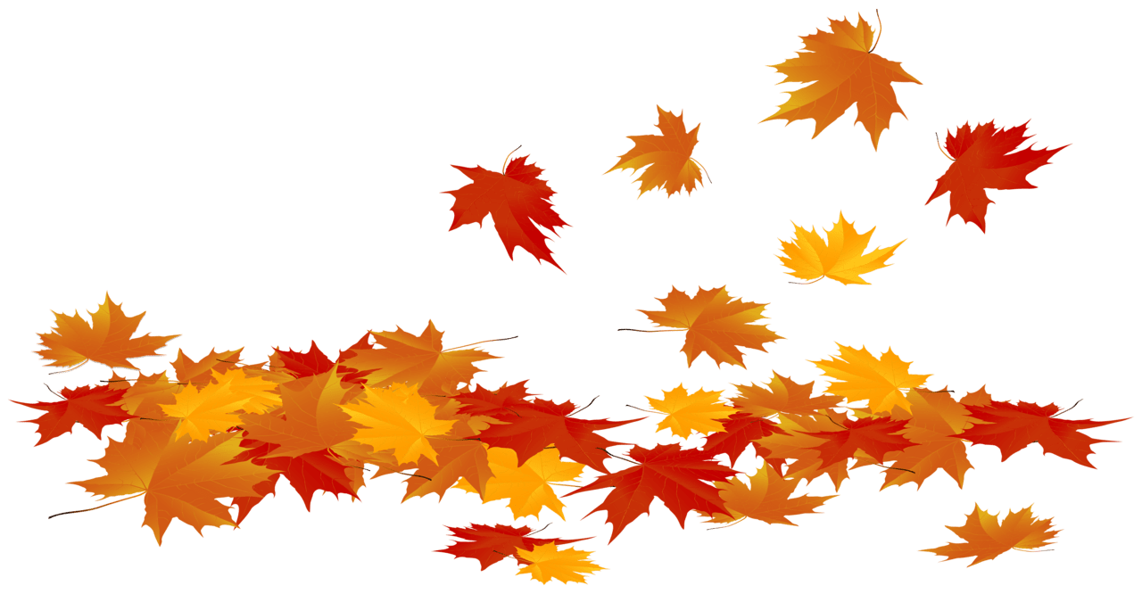 Fall leaf fallen autumn leaves clipart image