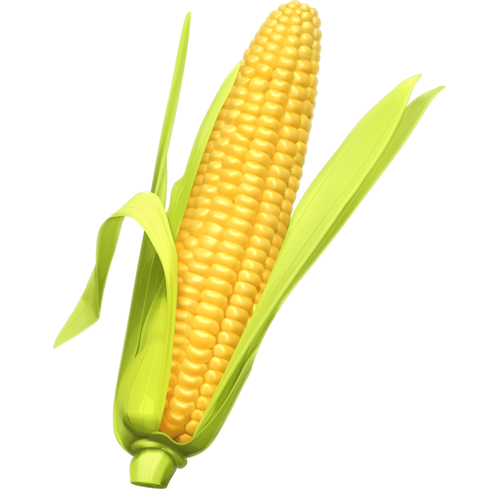 Popcorn corn images hd photo clipart