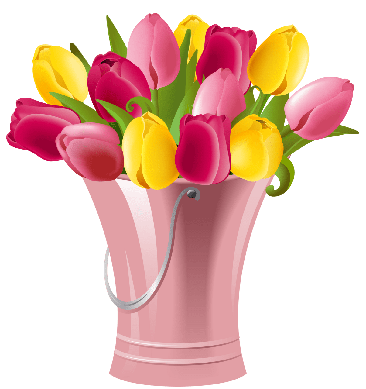 Spring spr bucket with tulips clipart image