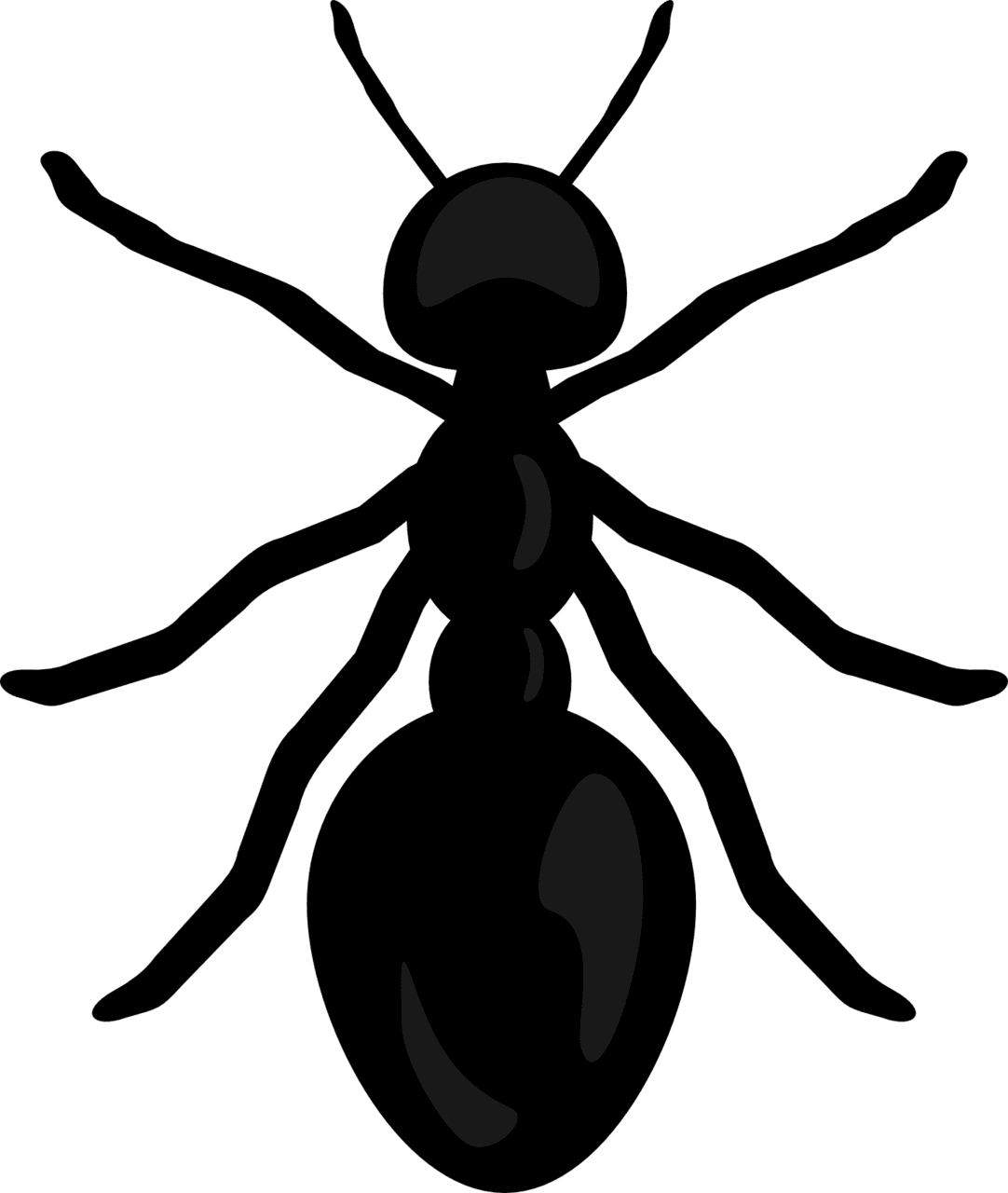 Ant mixed clipart picture