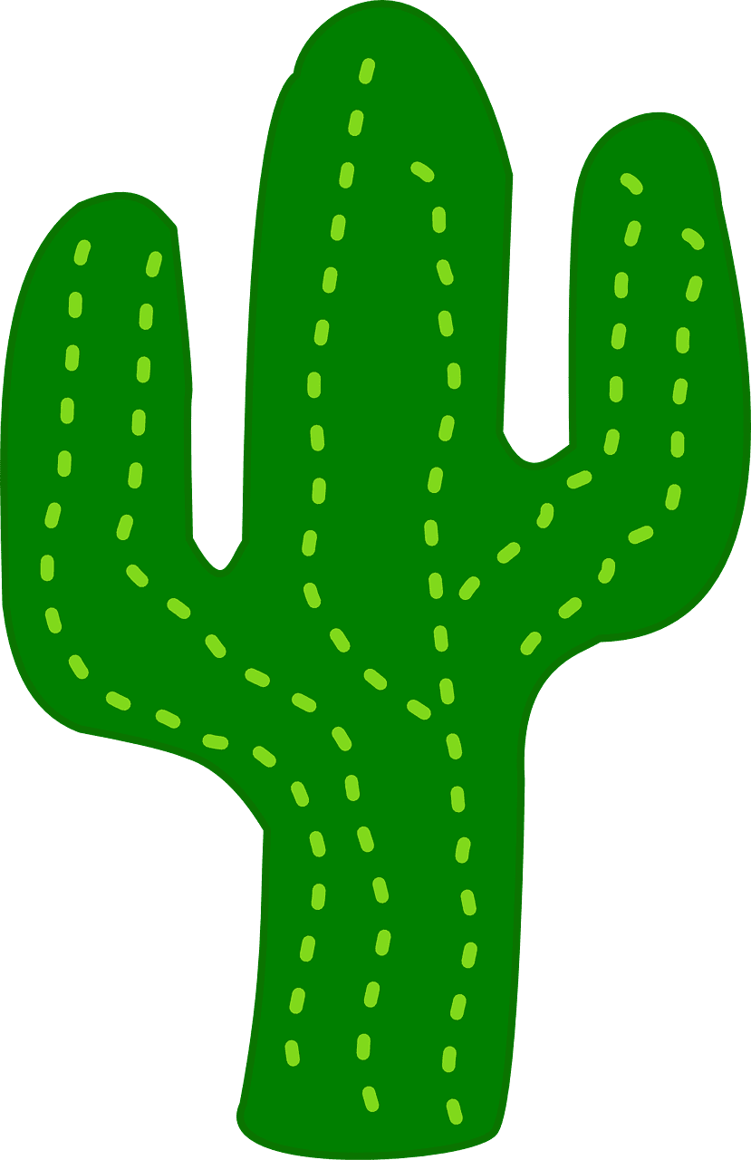 Cars cactus flora desert vector graphic clipart