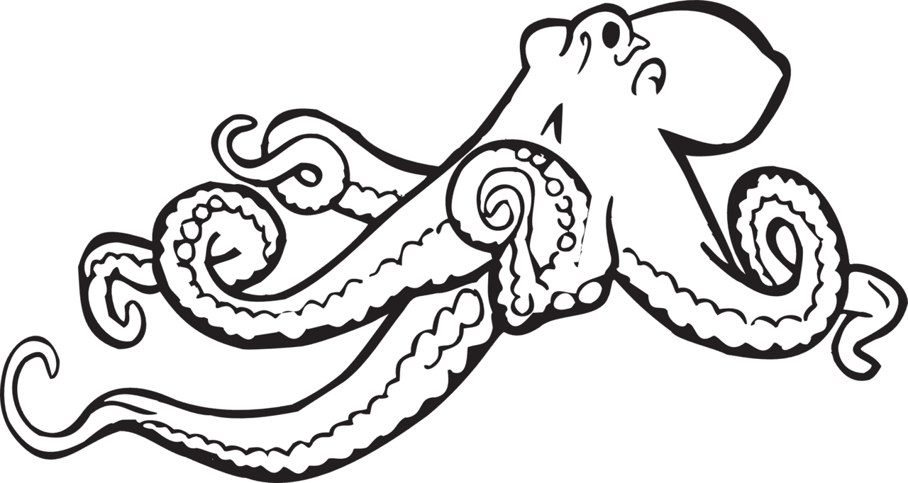 Octopus clipart images