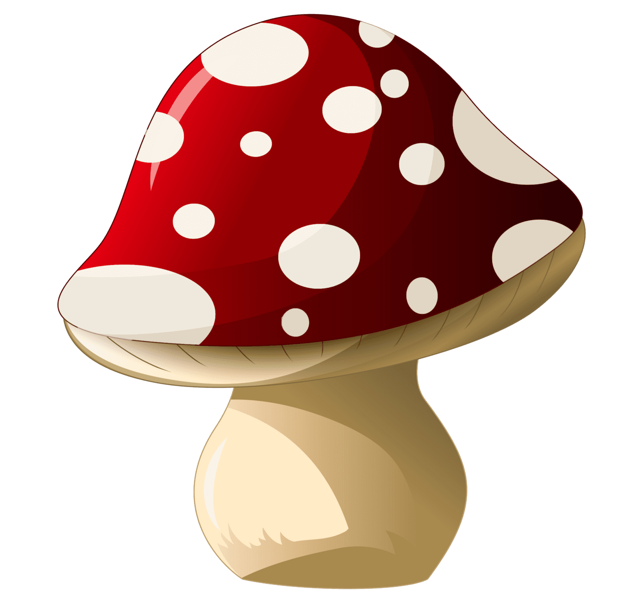 Mushroom clipart picture yopriceville high quality images and drawing art cartoon