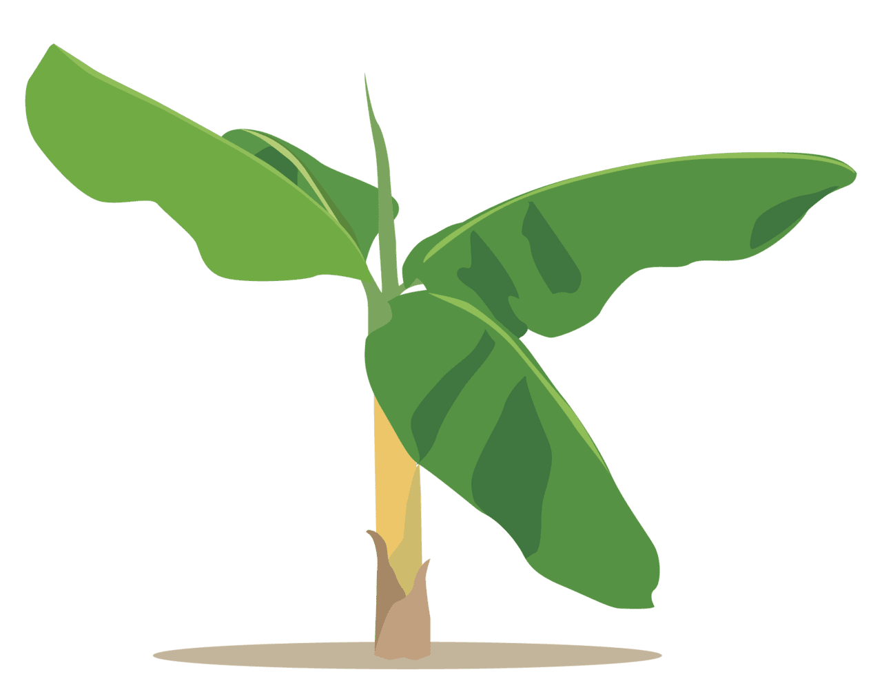 Banana pin page clipart vector