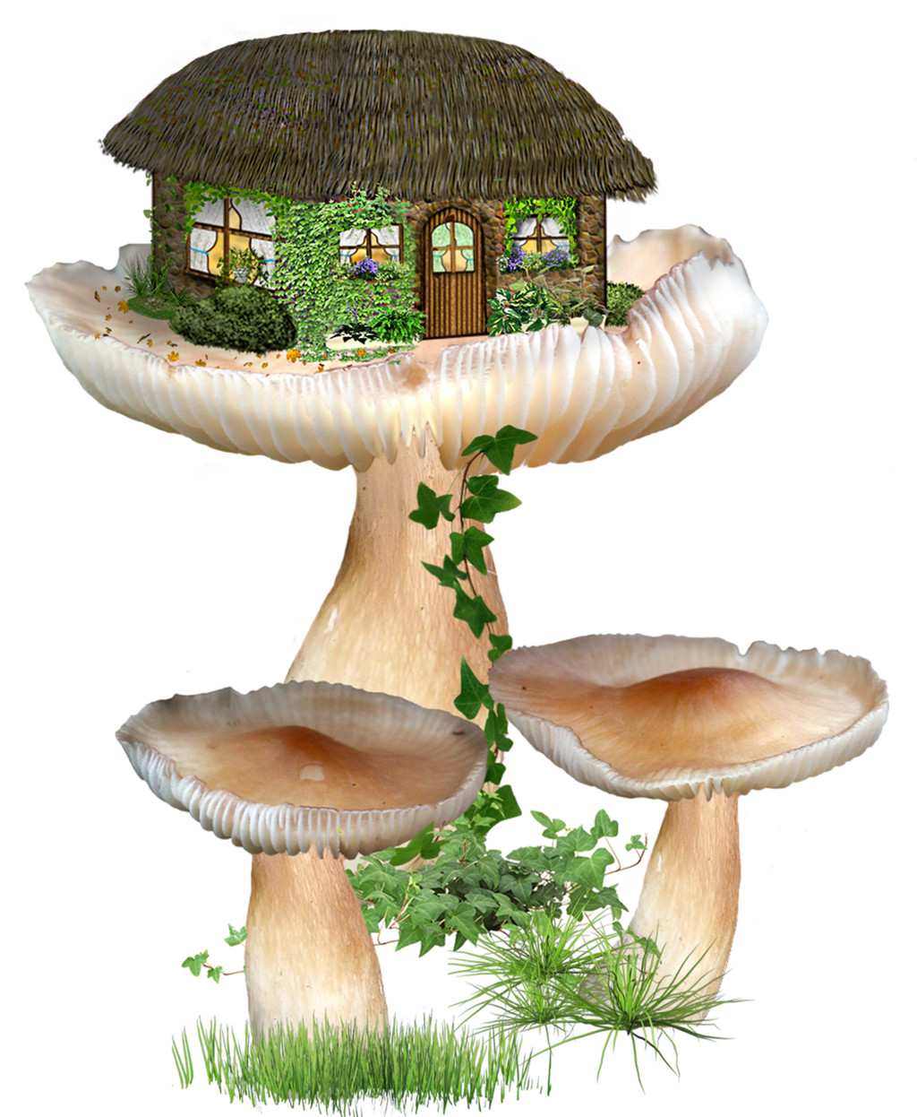 Mushroom fairy fantasy home by roula deviantart clipart image