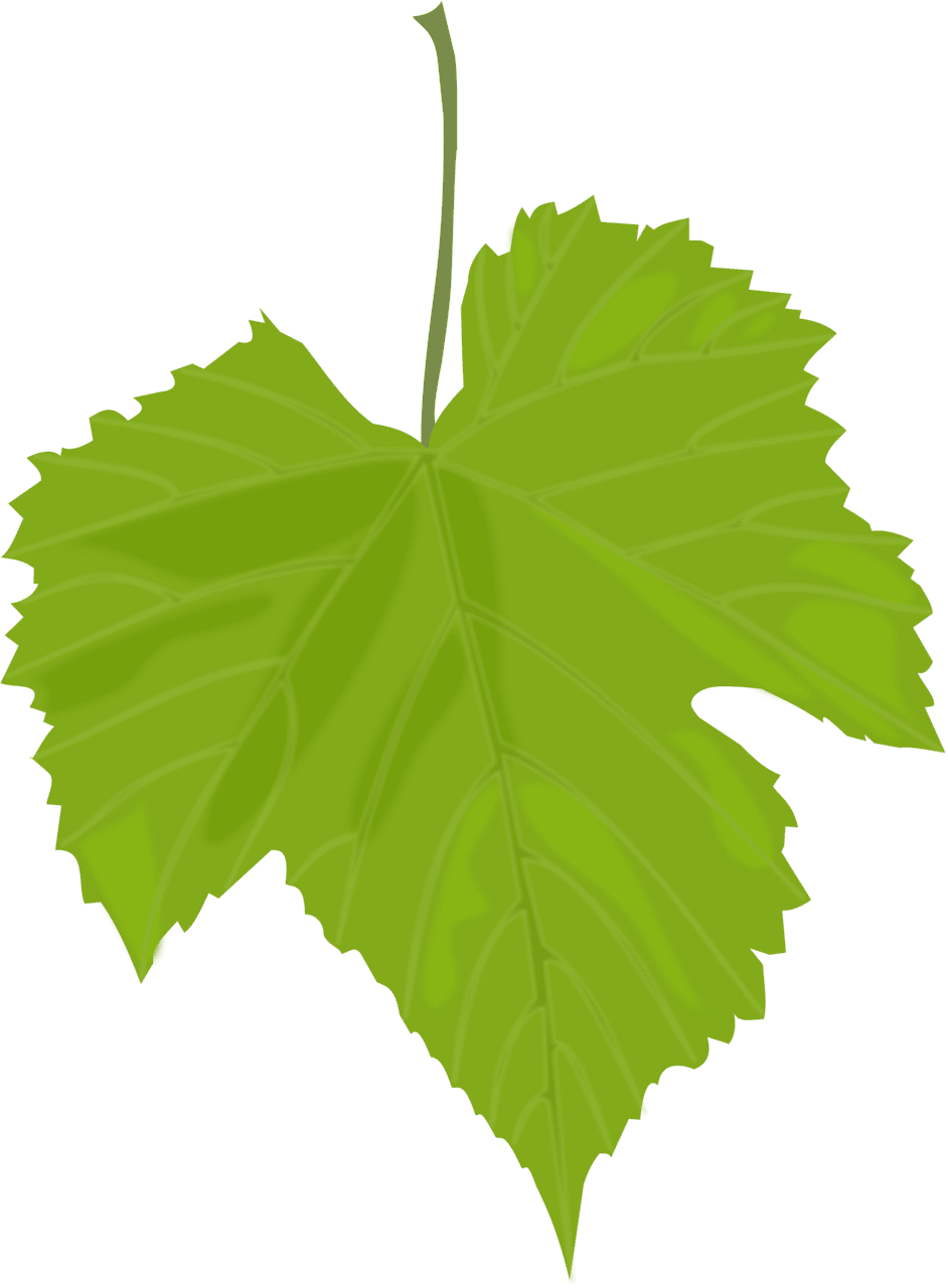 Fall leaves leaf images cliparts clipart library