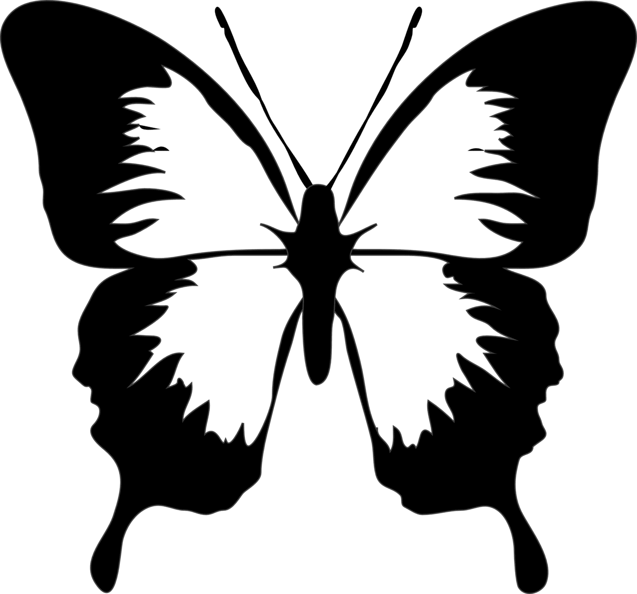 Butterflies butterfly clipart black and white panda logo