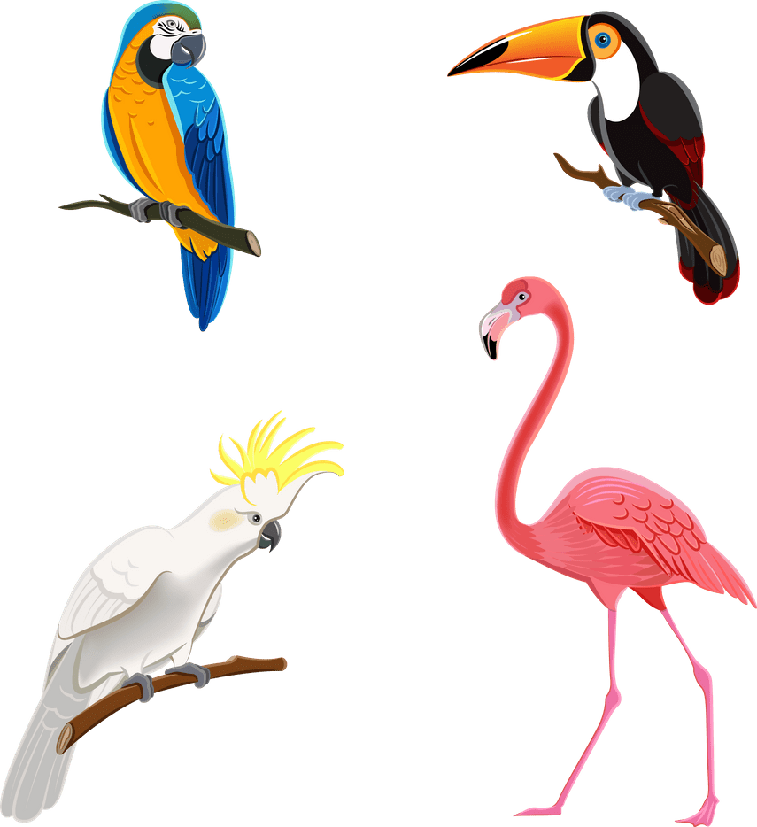 Flamingo aves by creaciones jean deviantart clipart background