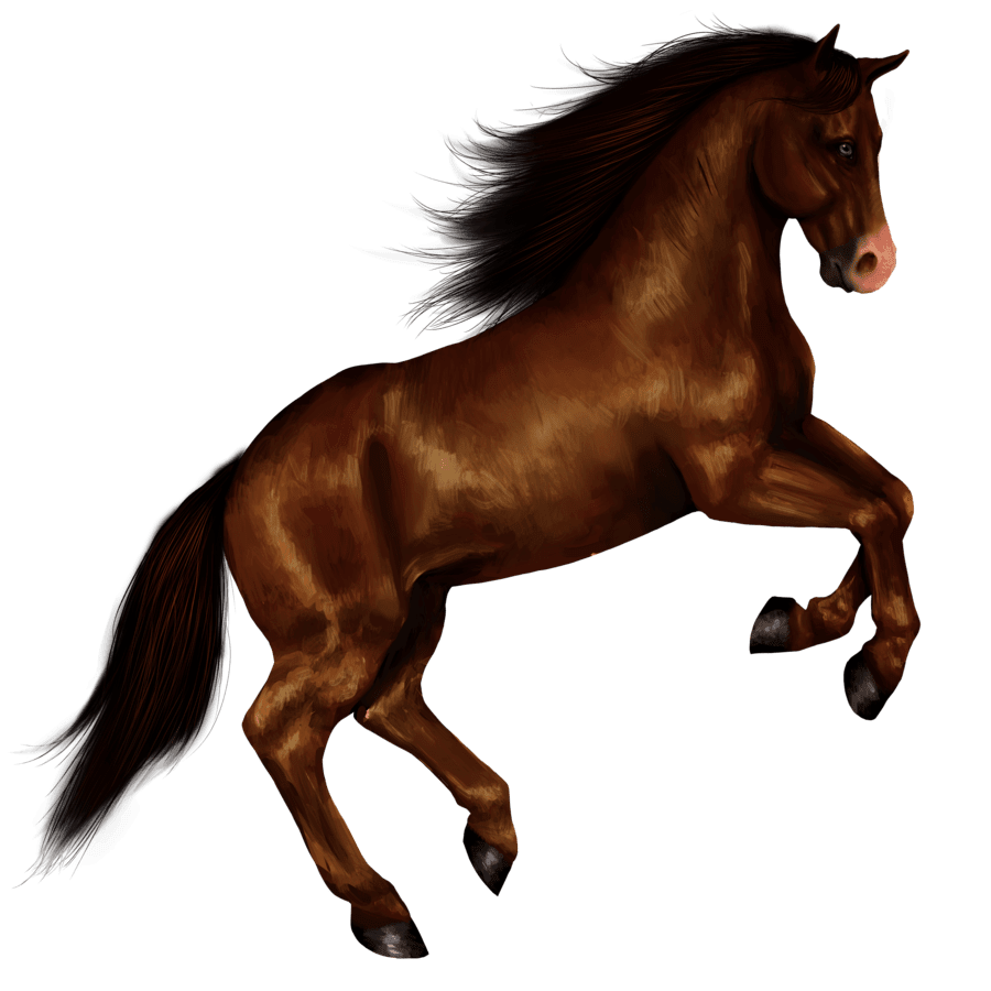 Horse right jump stic clipart photo