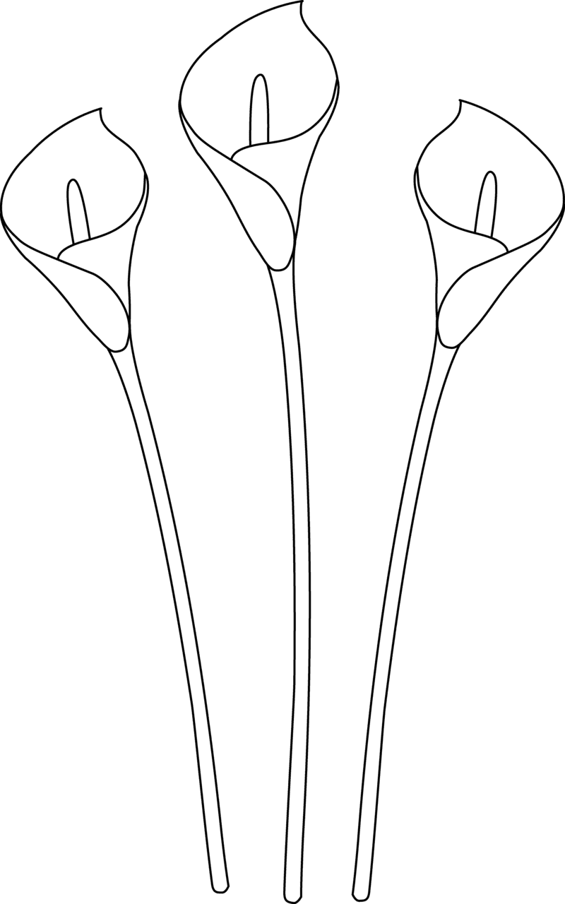 Flower black and white cute clipart coloring pages transparent