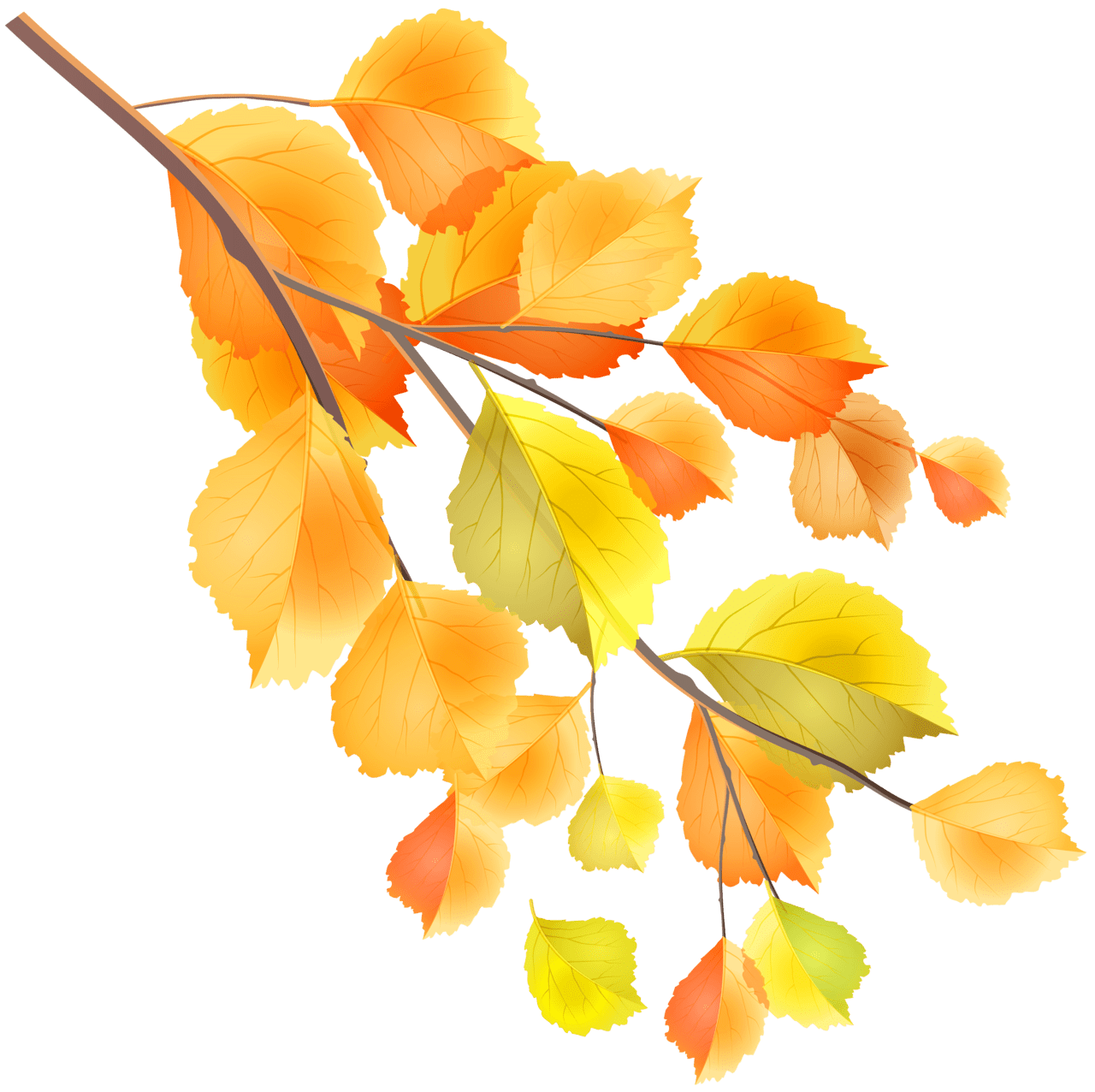 Autumn leaves branch clipart image