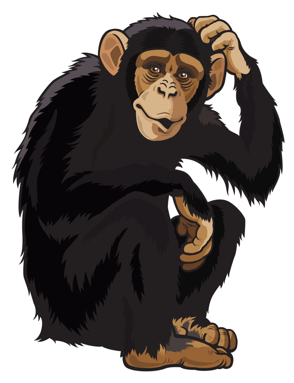 Monkey clipart image