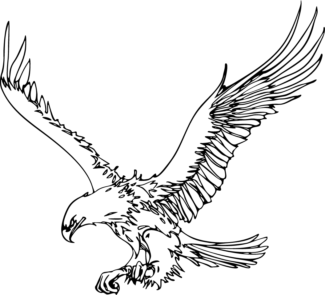 Eagle outline clipart picture