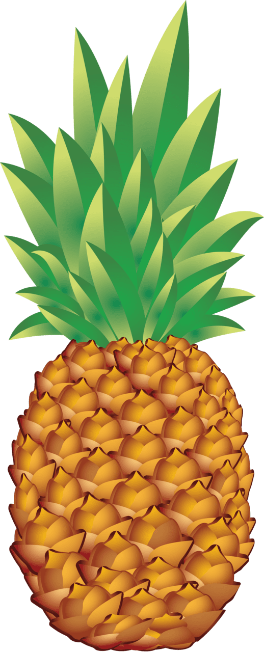 Fruit pineapple clipart background