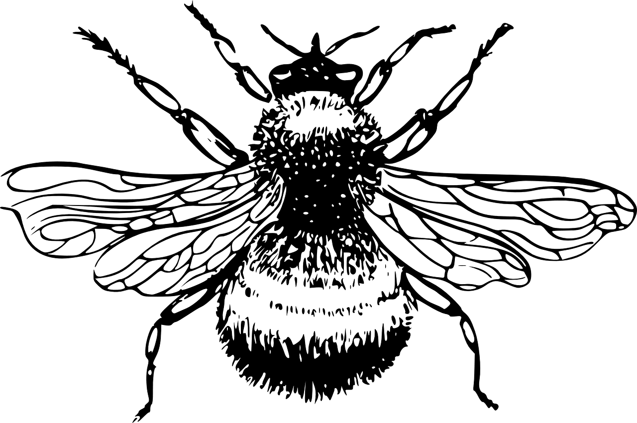 Beehive bumblebee bumble bee vector graphic clipart