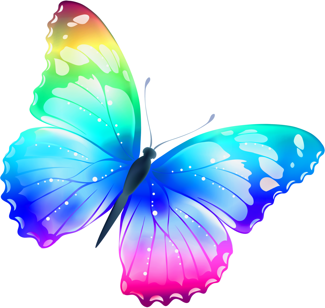 Butterflies large multi color butterfly clipart logo