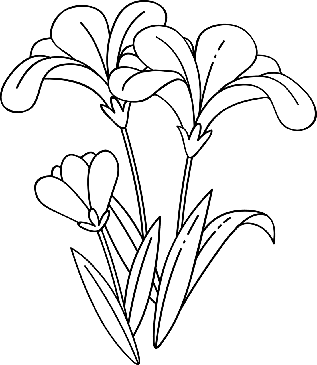 Flower black and white daffodil anemone vector flowers clipart