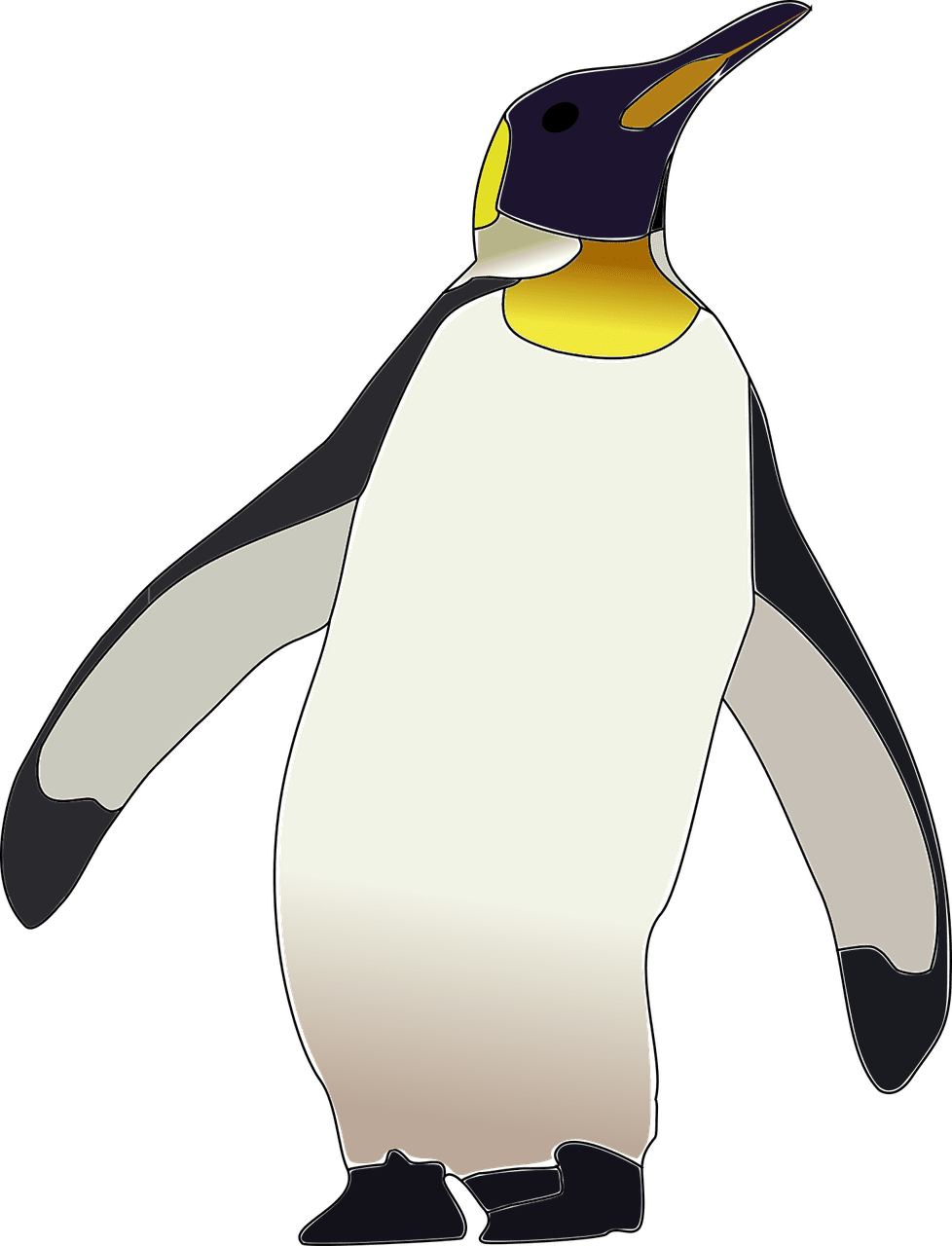 Emperor penguin bird image pi clipart