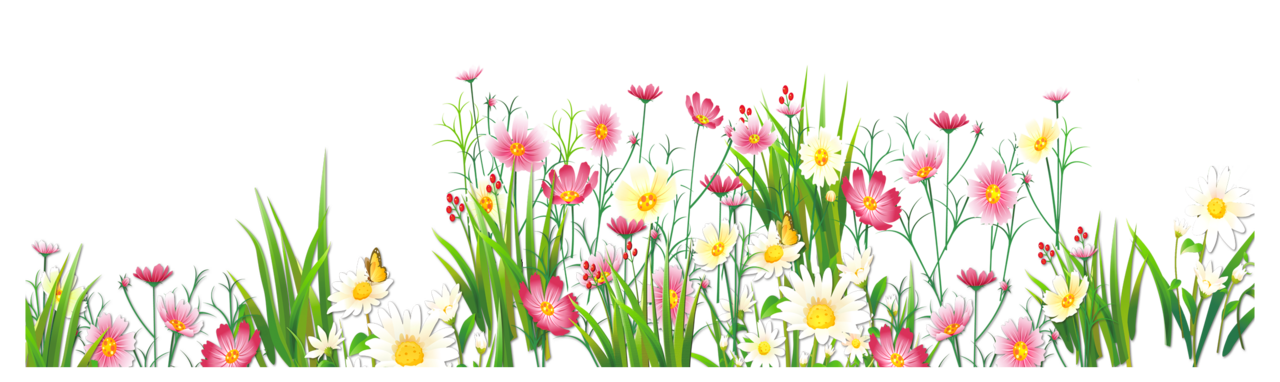 Floral flowers and grass picture clipart