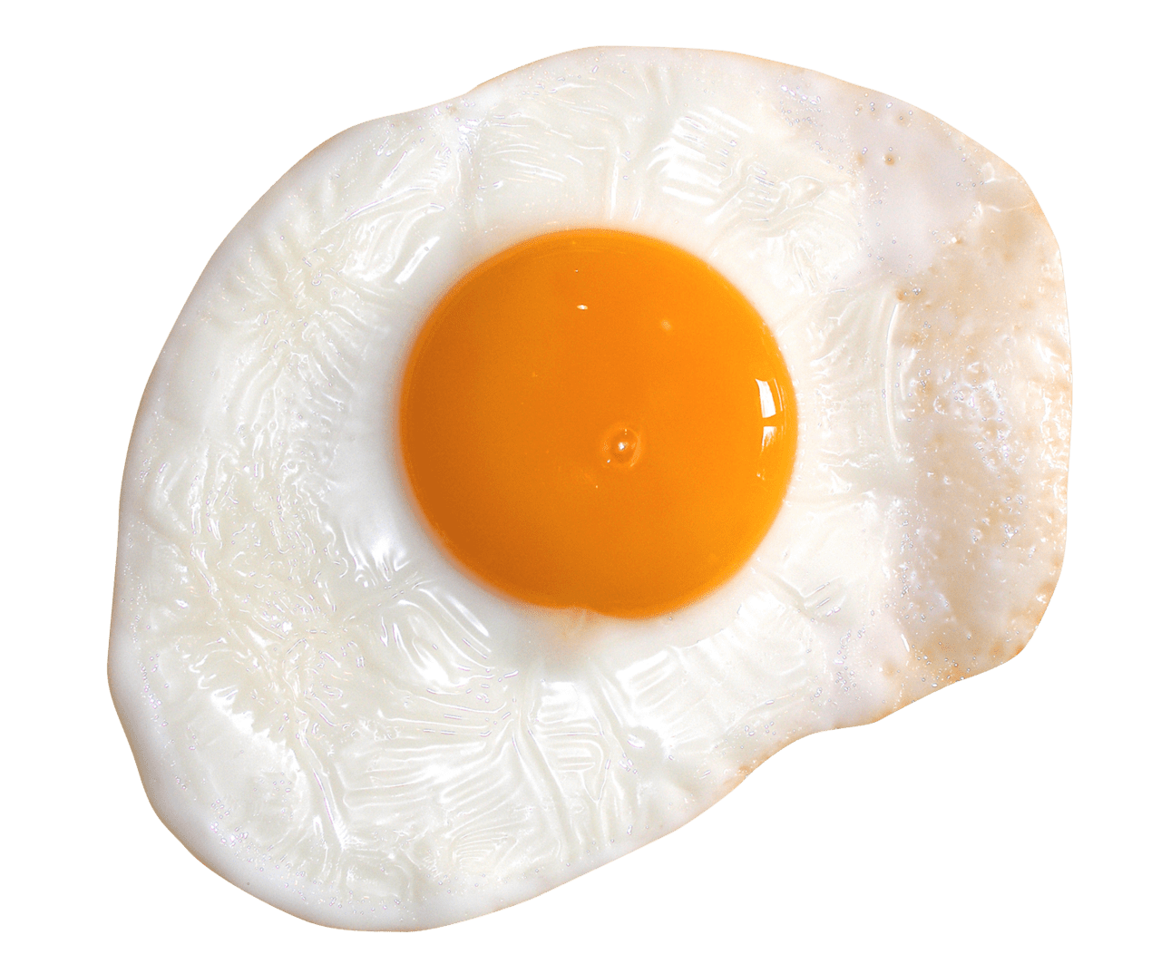 Egg image for clipart