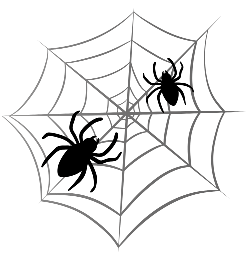 Spider clipart black and white image