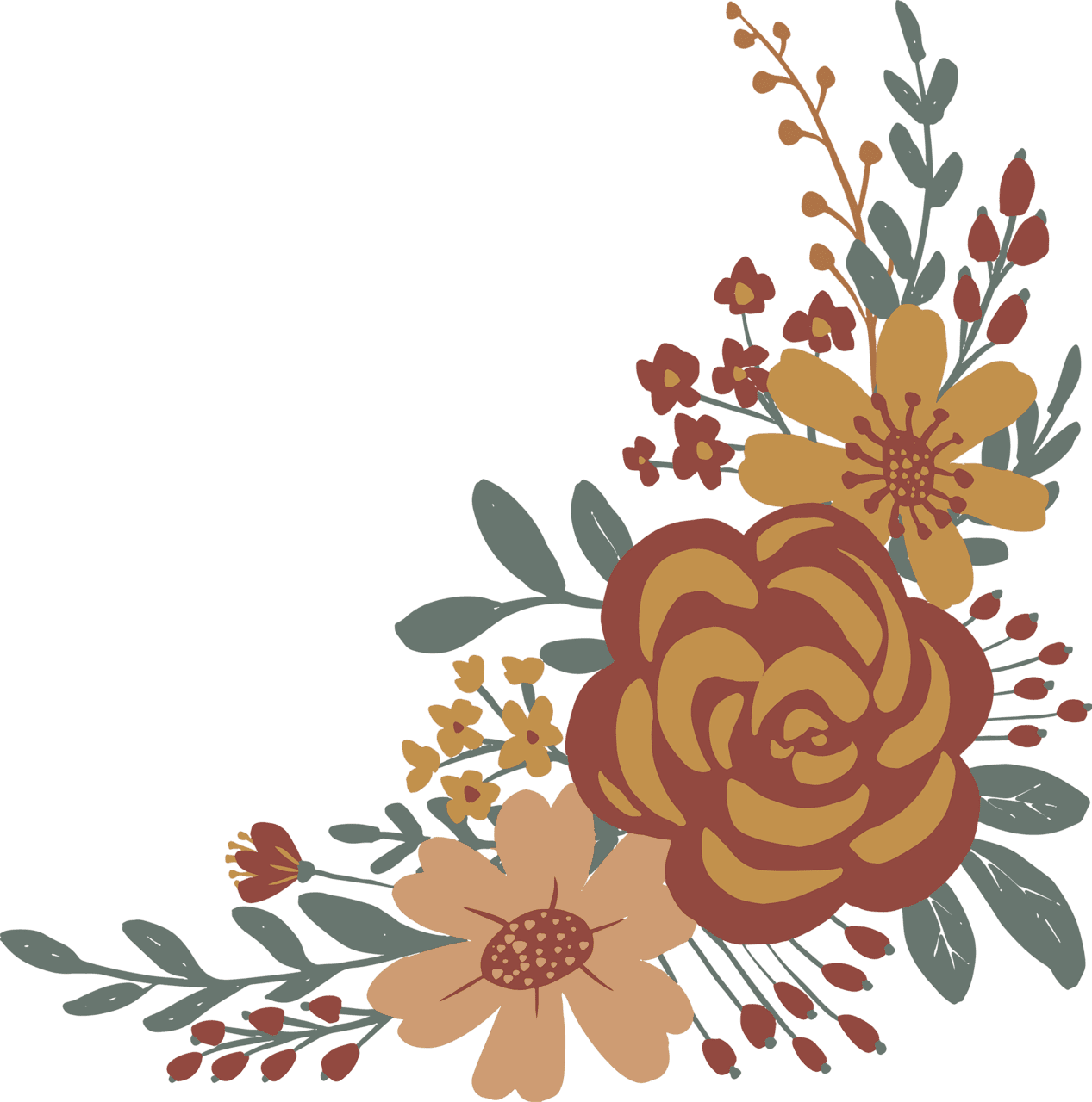 Floral edelweiss flower vector clipart