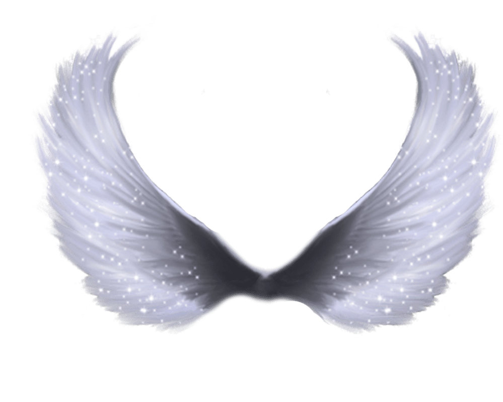 Deviantart more like wings by zozziegirl clipart best angel drawing background