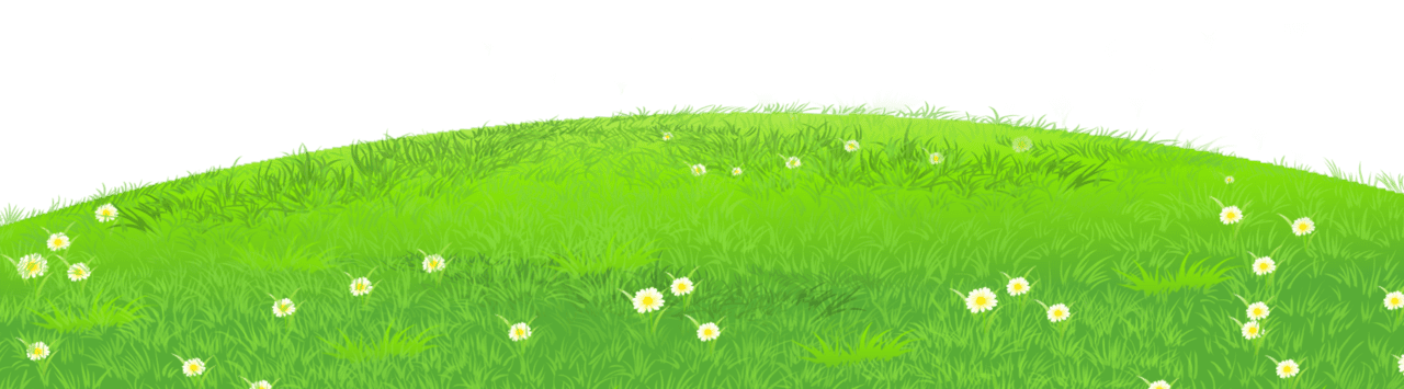 Grass with daisies clipart yopriceville high quality images and daisy