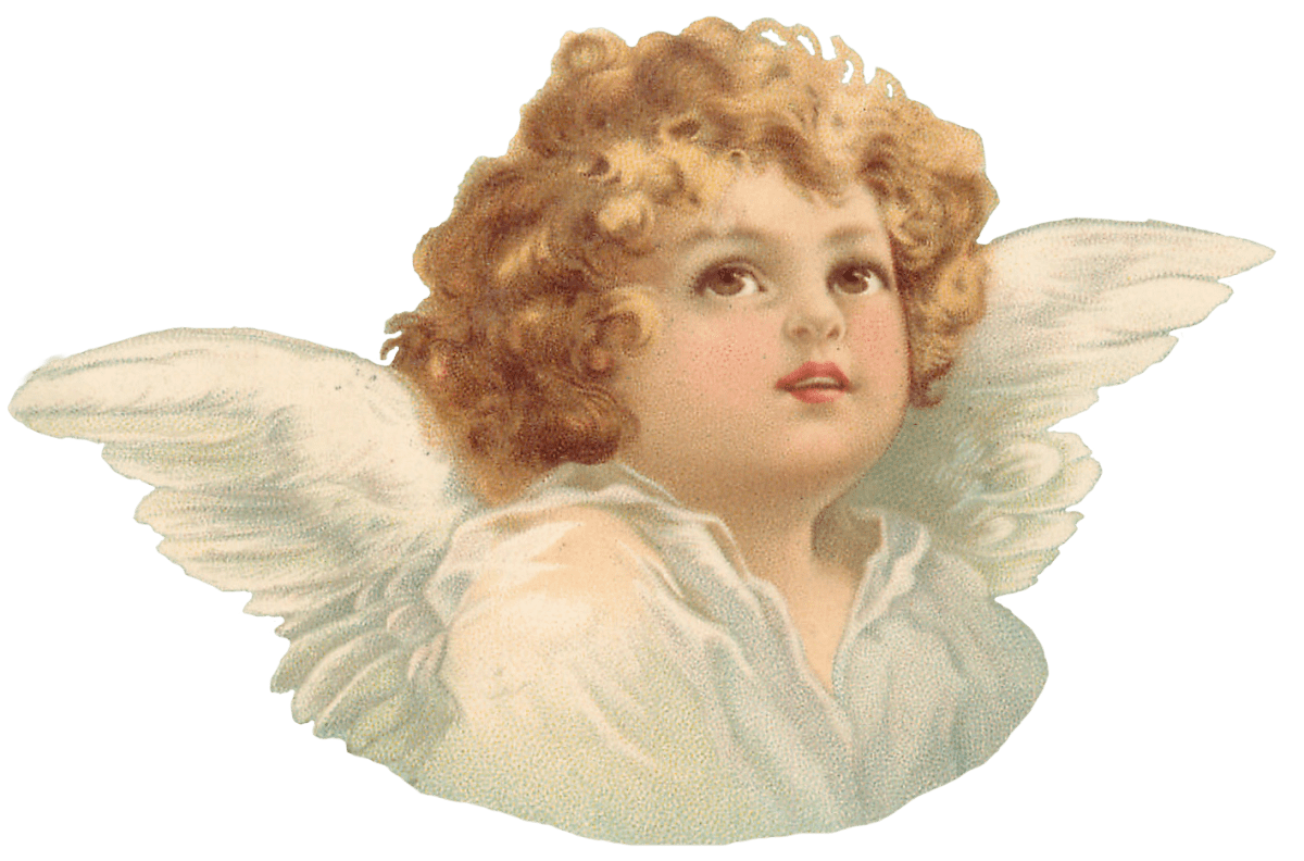 Angel wings of whimsy clipart photo