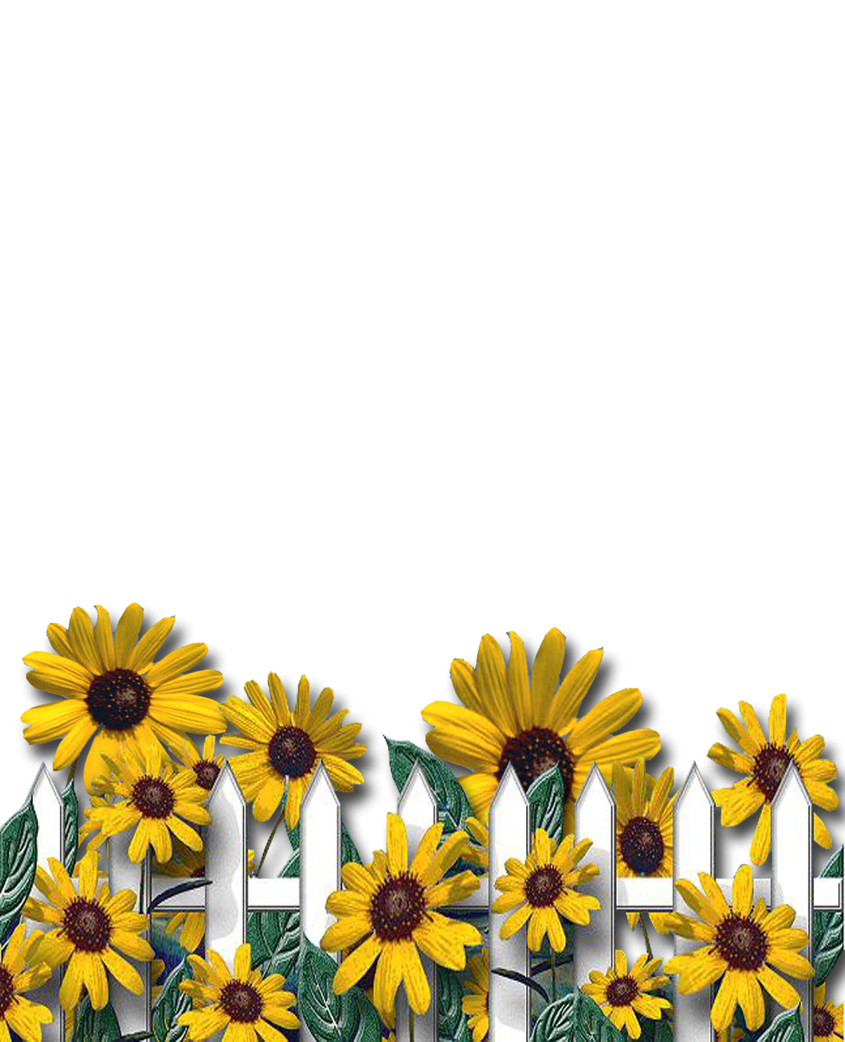 Capital letter sunflower images art clipart