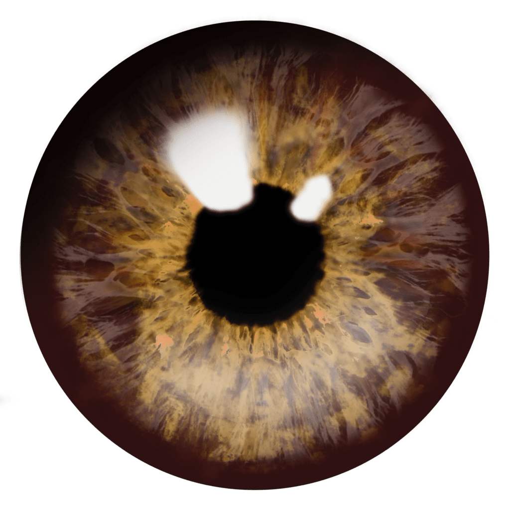 Eye clipart photo