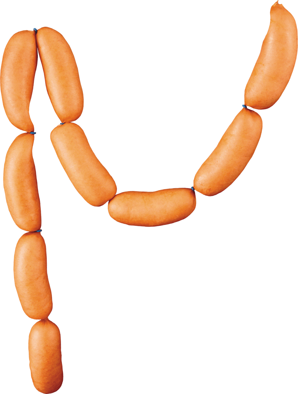 Hot dog sausage clipart vector