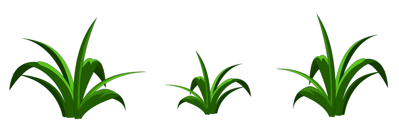 Grass decor clipart background