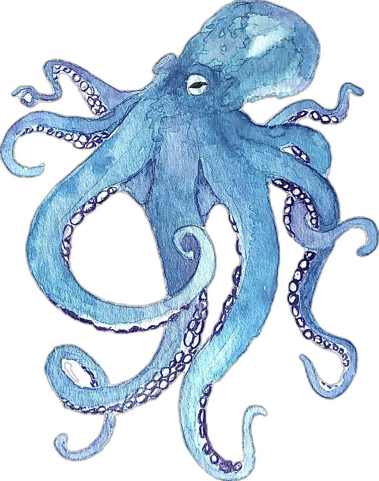 Octopus page clipart logo