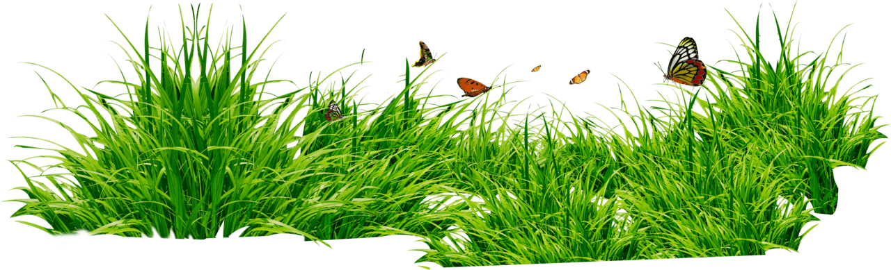 Grass patch with sects clipart vector