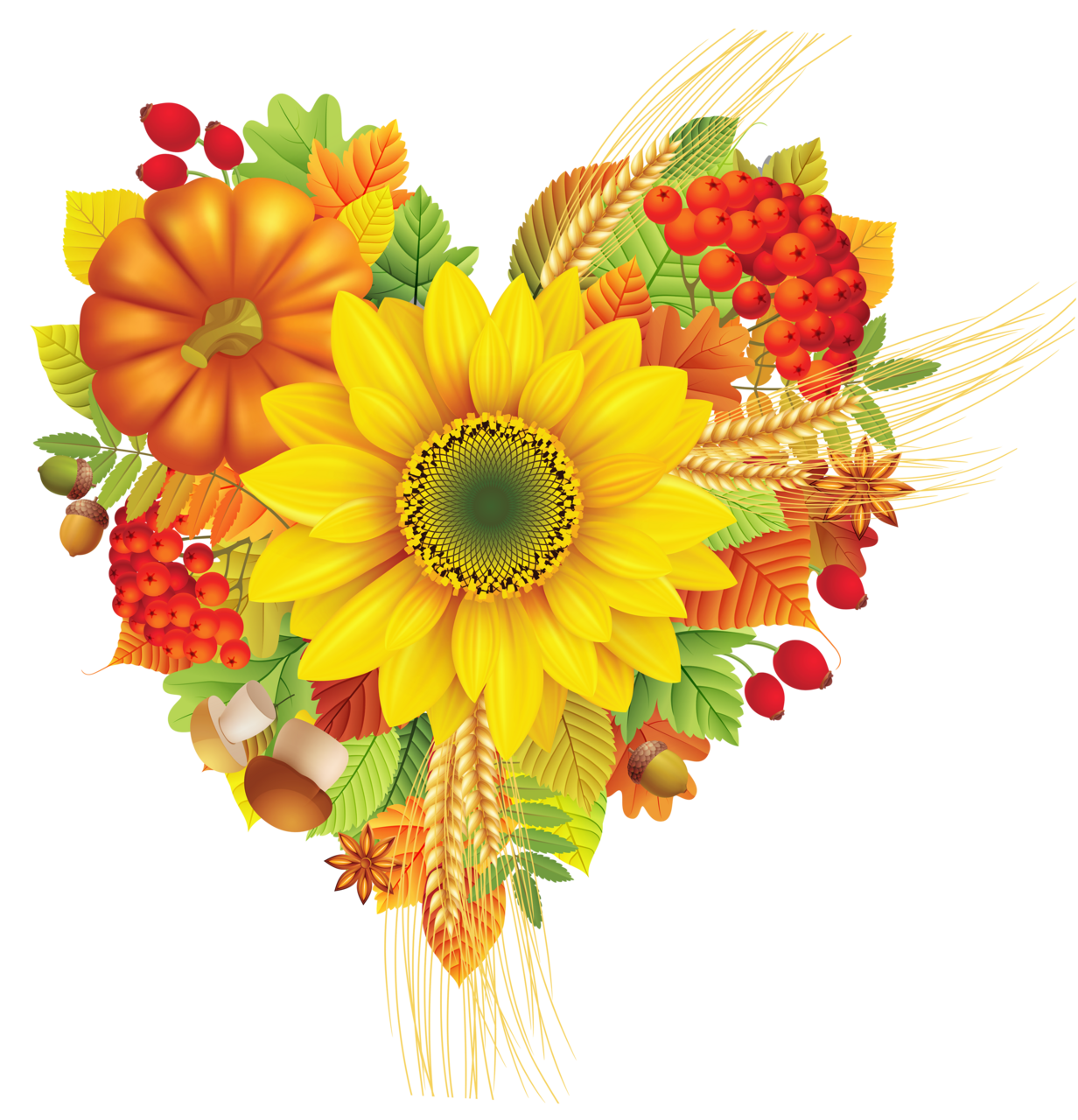 Sunflower autumn clipart picture