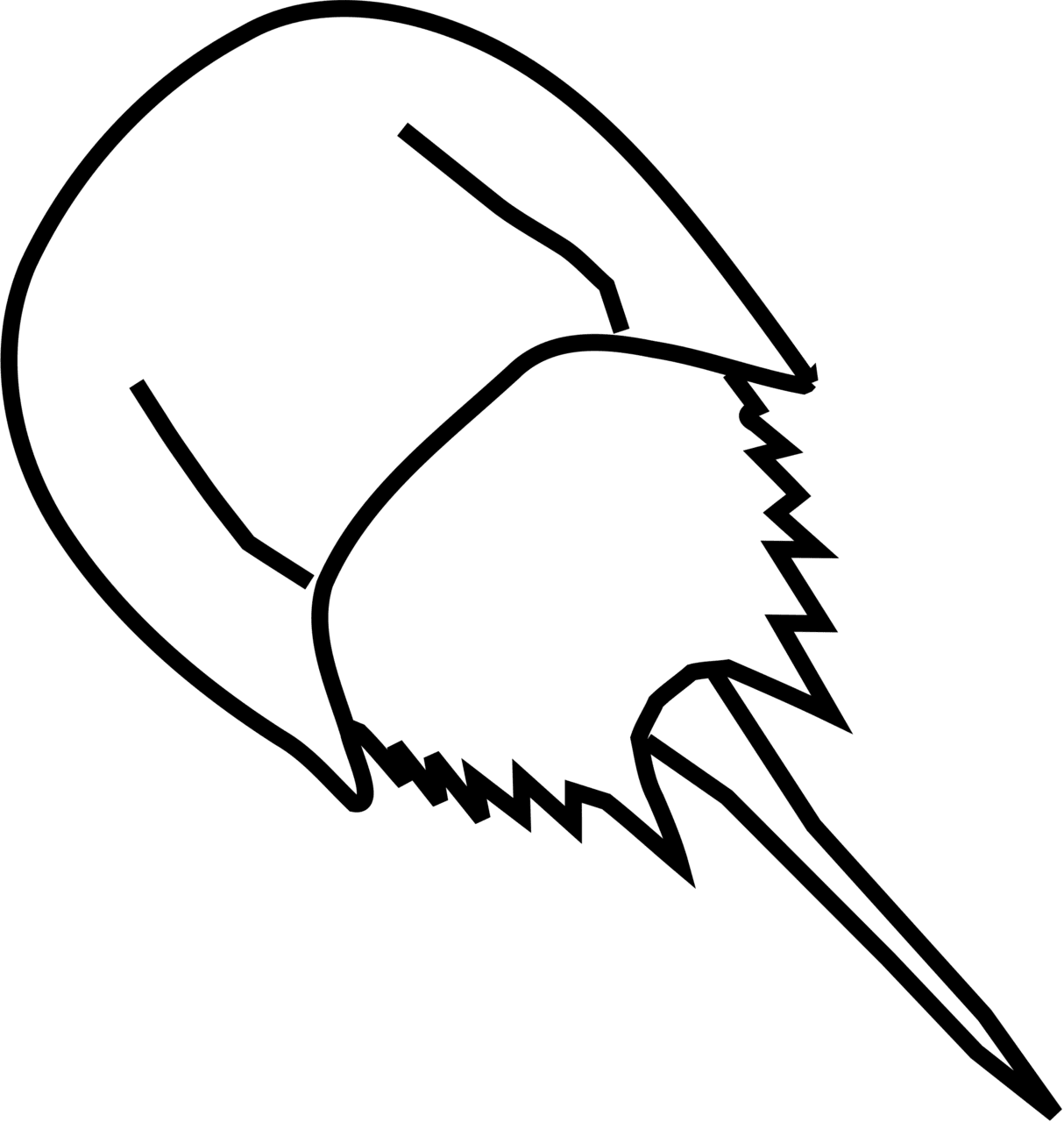 Horseshoe crab clipart clip art