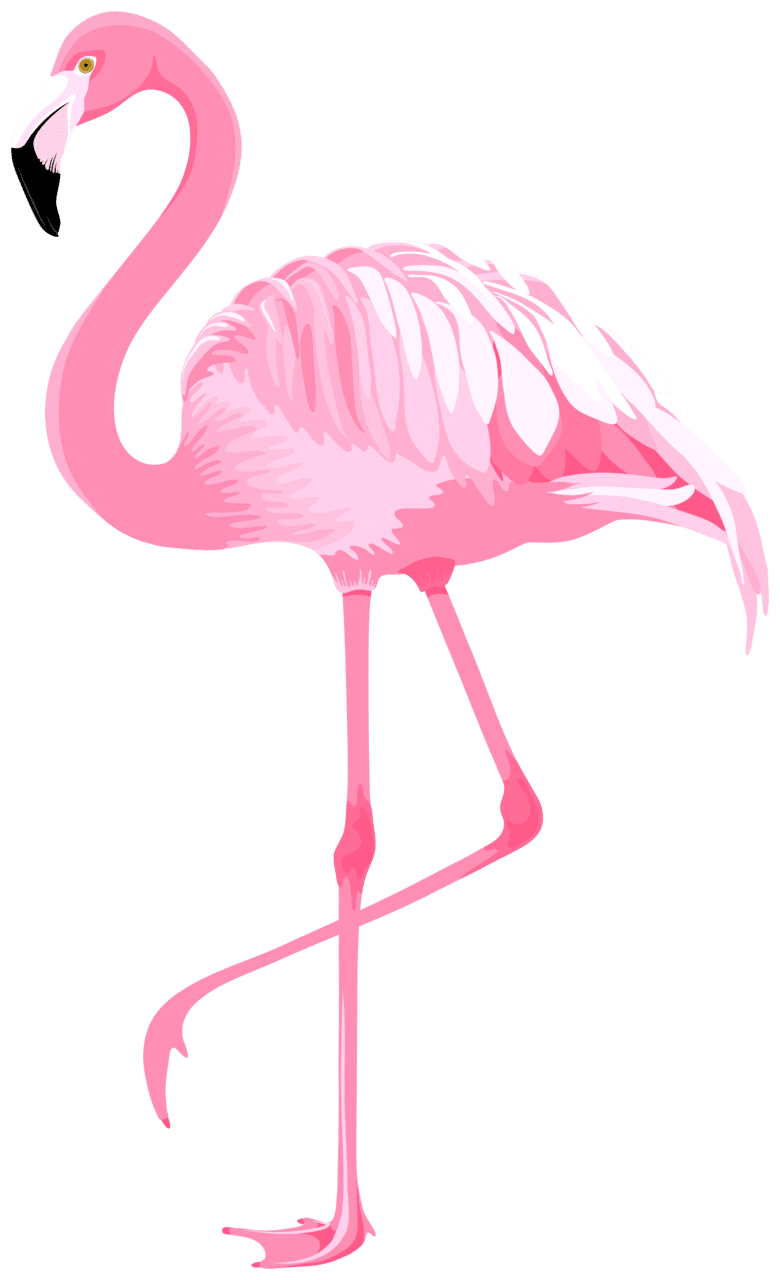 Pink flamingo clipart yopriceville high quality for background