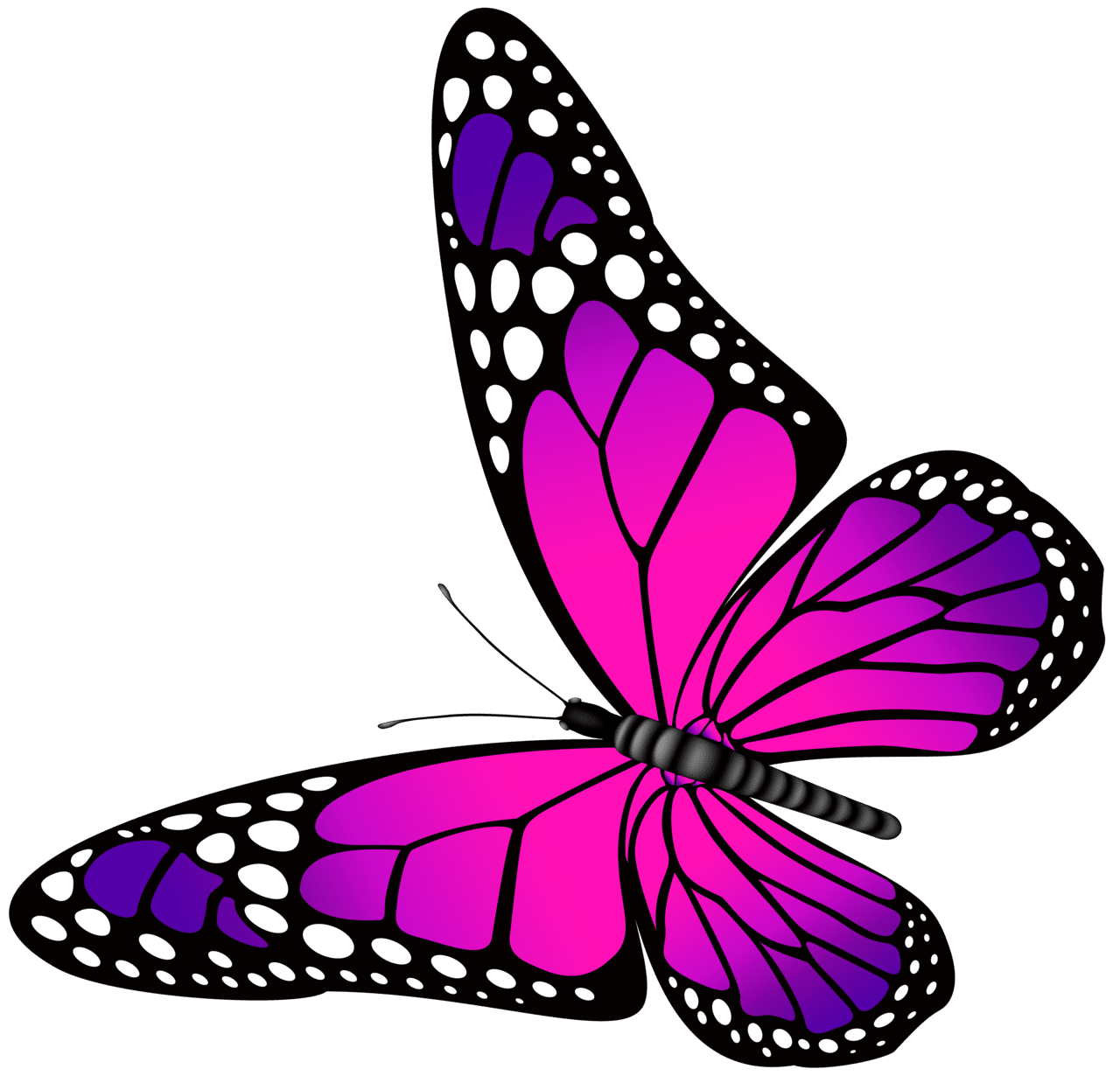 Butterflies butterfly pink and purple clipart image